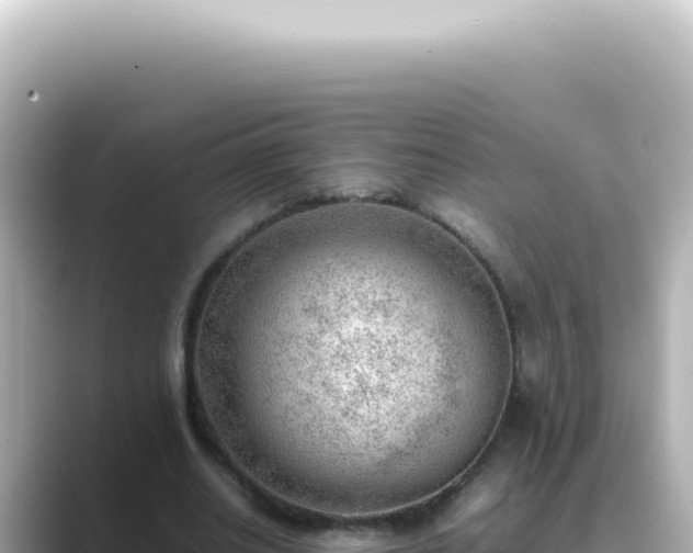 X0000089460630200706221306