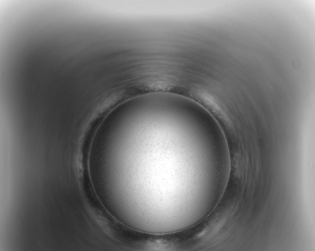 X0000089460634200706221306
