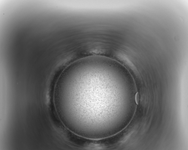 X0000089460635200706221306