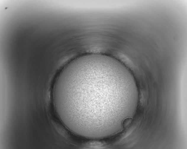 X0000089460636200706221306