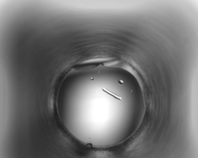 X0000089460637200706221306