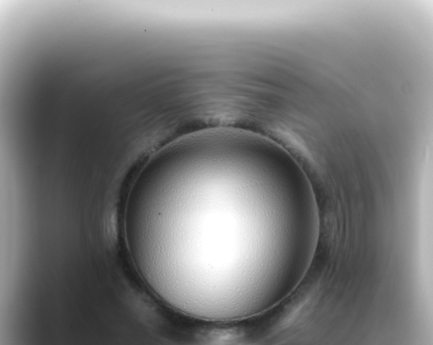 X0000089460638200706221306