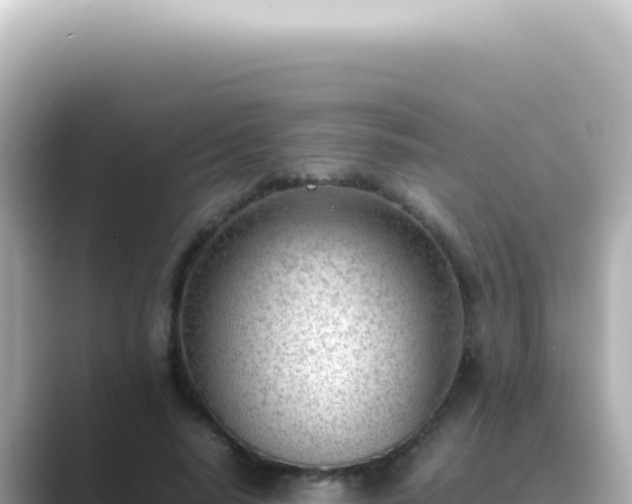 X0000089460640200706221306