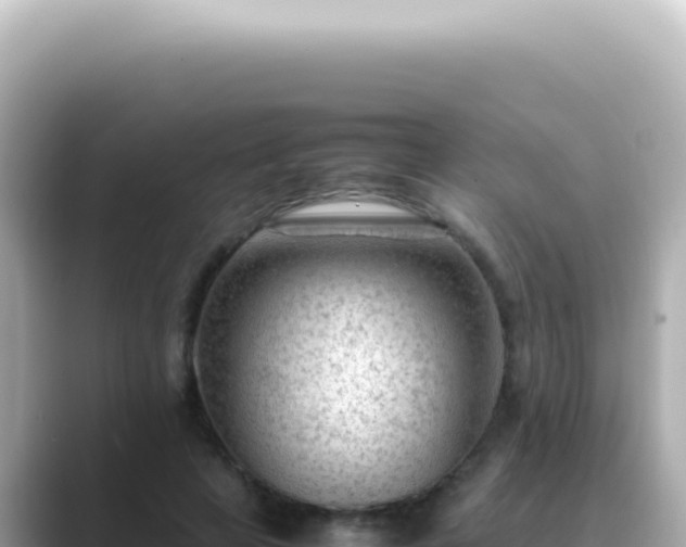 X0000089460641200706221306