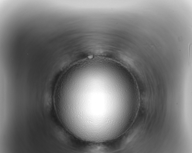 X0000089460642200706221306