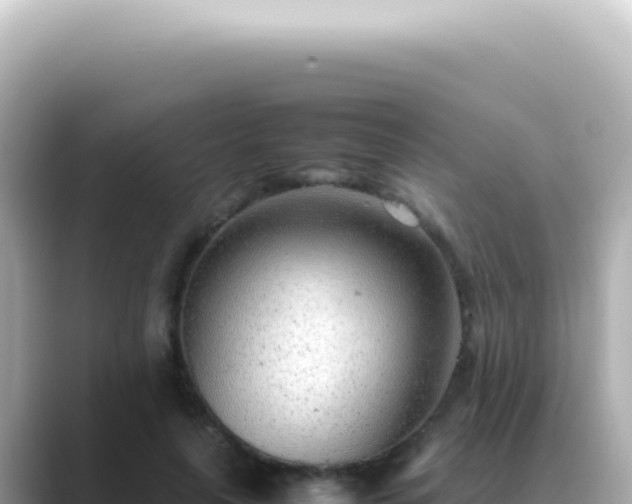 X0000089460643200706221306