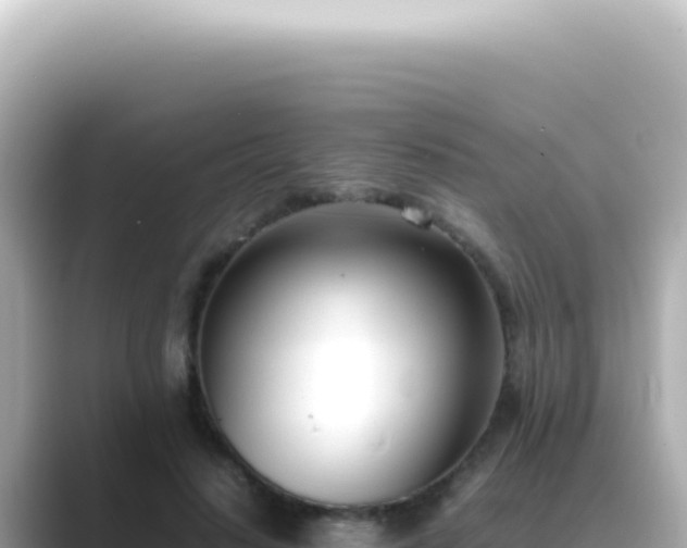 X0000089460644200706221306