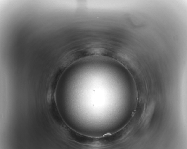 X0000089460647200706221306