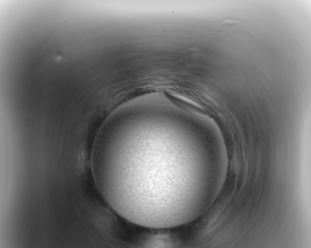 X0000089460651200706221306
