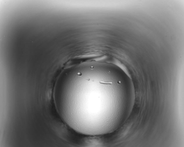 X0000089460652200706221306