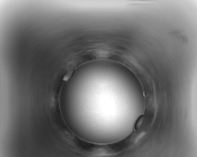 X0000089460655200706221306