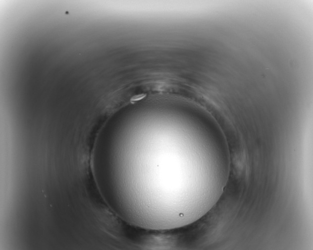 X0000089460657200706221306
