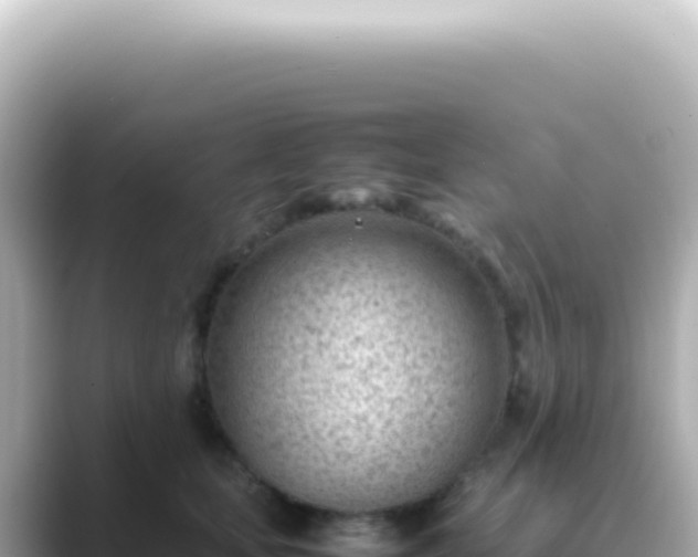 X0000089460659200706221306