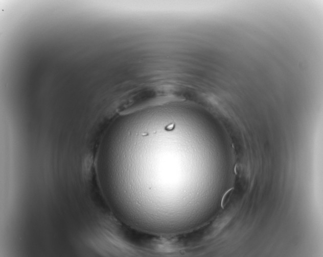 X0000089460660200706221306