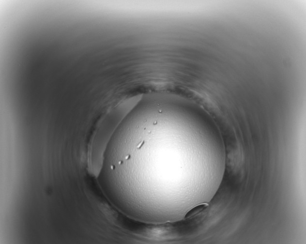 X0000089460662200706221306