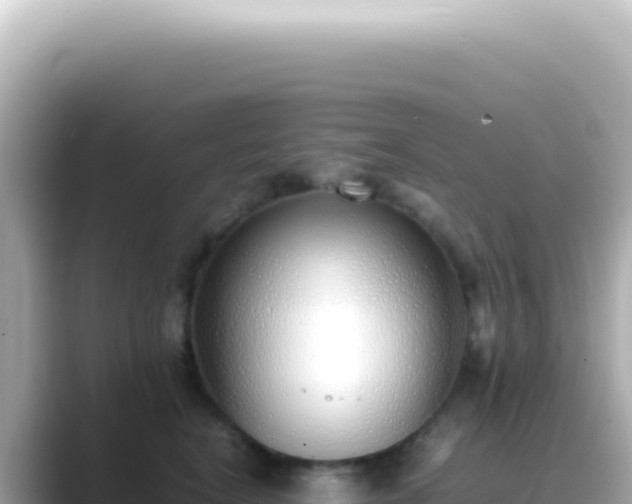 X0000089460664200706221306