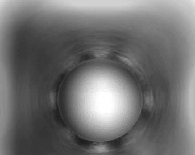 X0000089460667200706221306