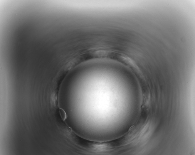 X0000089460669200706221306