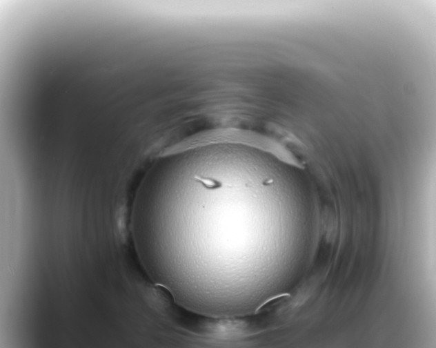 X0000089460670200706221306