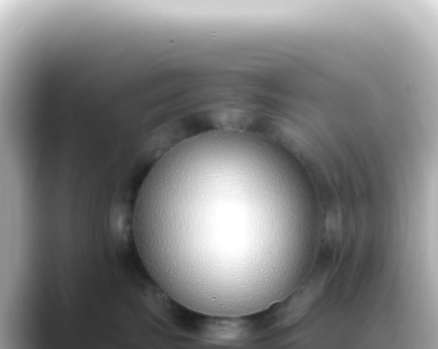 X0000089460671200706221306