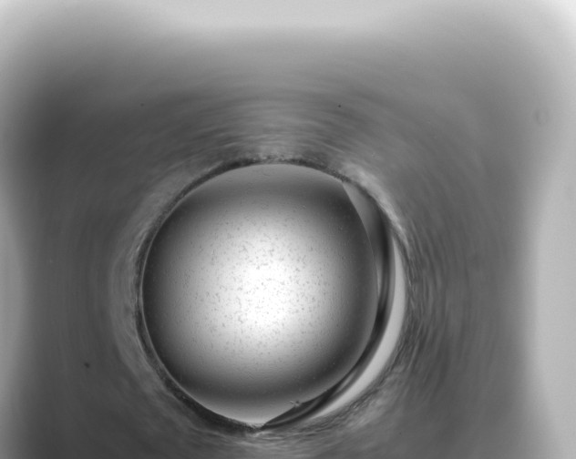 X0000089460673200706221305