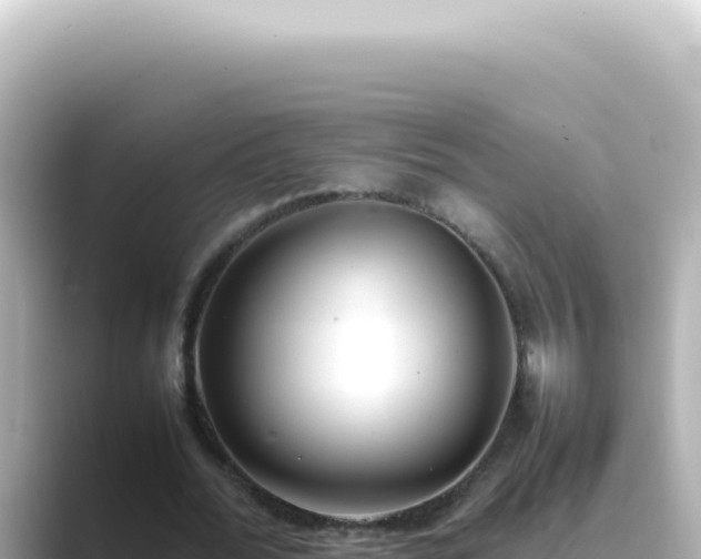 X0000089460676200706221305