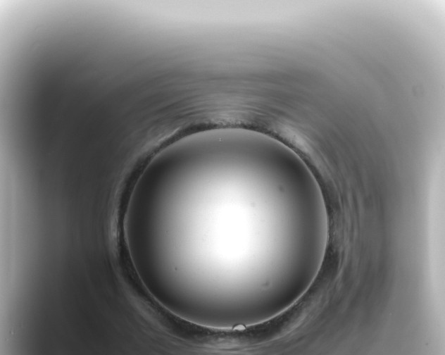 X0000089460677200706221305