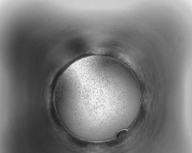 X0000089460679200706221305