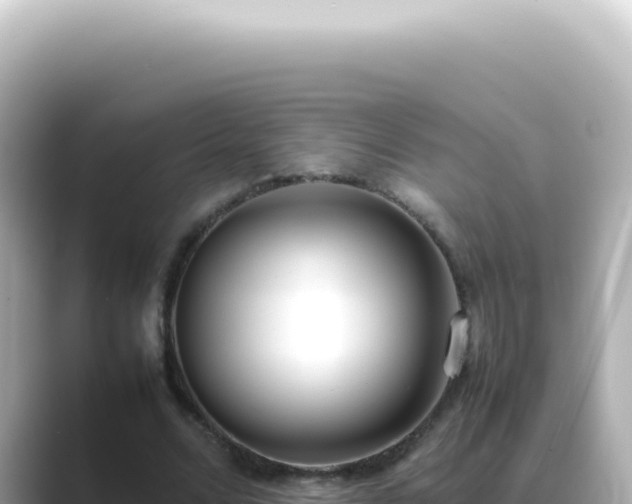 X0000089460680200706221305