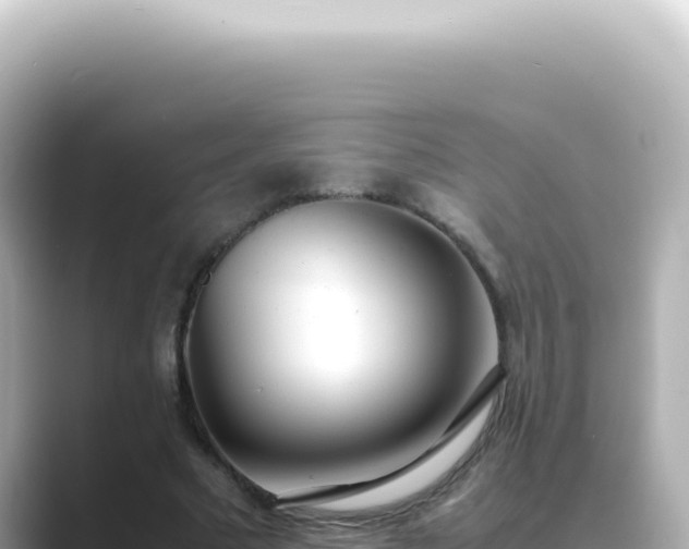 X0000089460681200706221305
