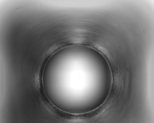 X0000089460682200706221305