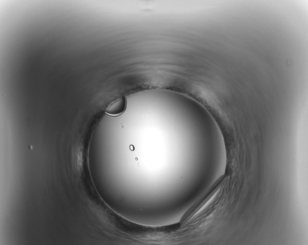 X0000089460685200706221305