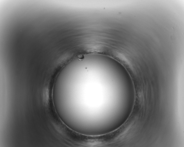 X0000089460686200706221305