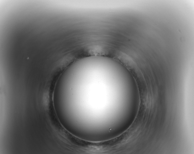 X0000089460690200706221305
