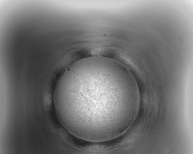 X0000089460691200706221305