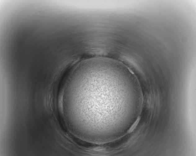 X0000089460692200706221305