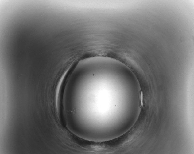 X0000089460693200706221305