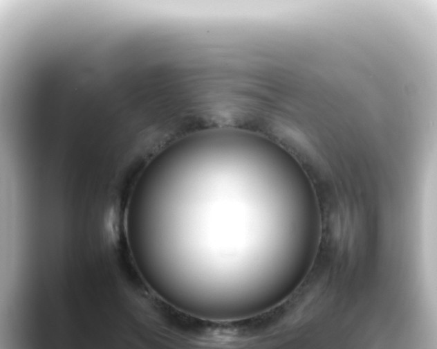 X0000089460694200706221305