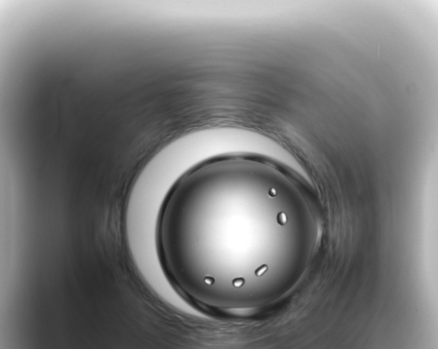 X0000089460696200706221305