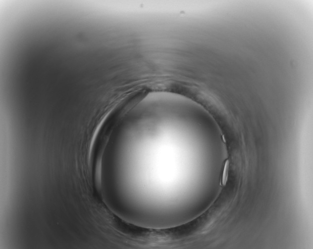 X0000089460697200706221305