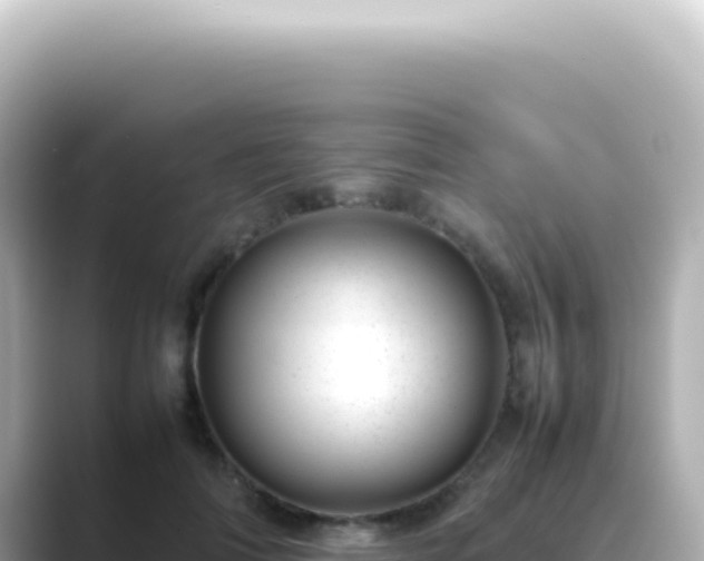 X0000089460698200706221305