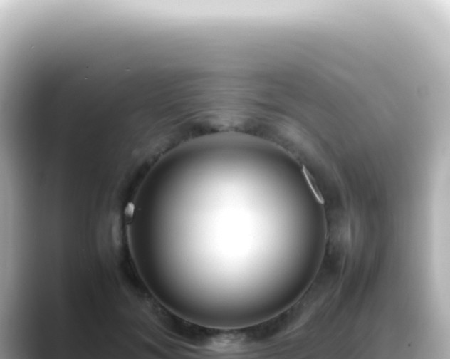 X0000089460700200706221305