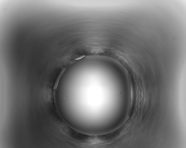 X0000089460704200706221305