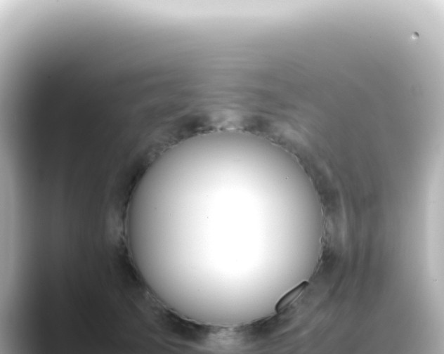 X0000089460705200706221305