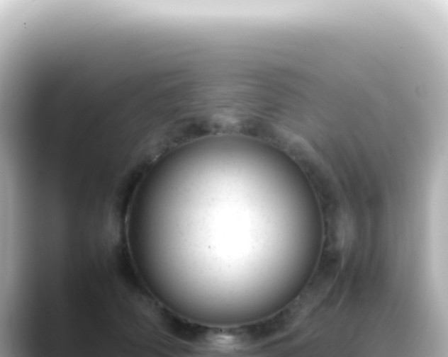 X0000089460706200706221305