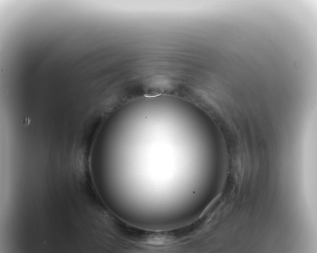 X0000089460708200706221305