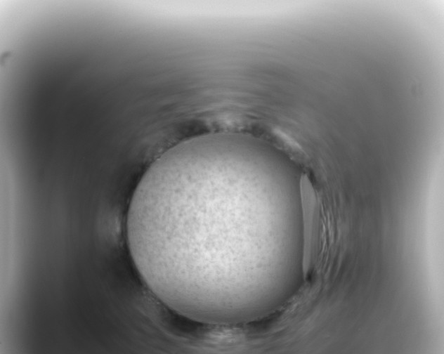 X0000089460709200706221305