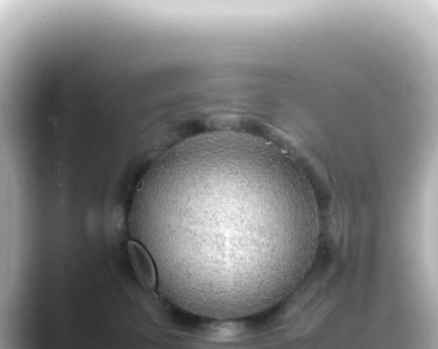 X0000089460711200706221305