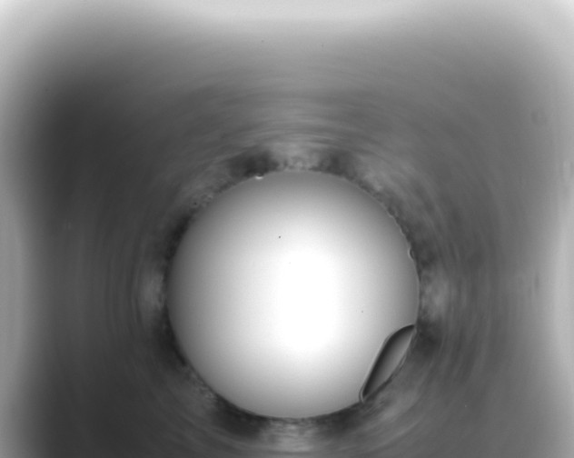 X0000089460713200706221305