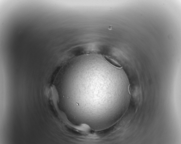 X0000089460715200706221305